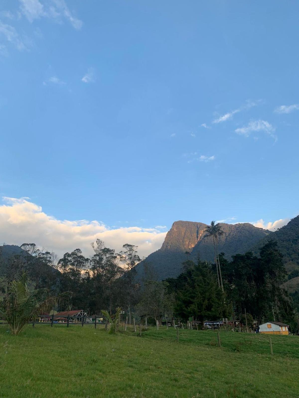 Refugio Nidos Del Condor Cocora Salento Luaran gambar